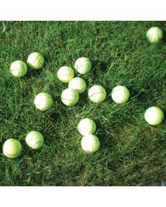 Tennisbolde - 15 stk.