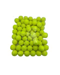 Tennisbolde - 60 stk.