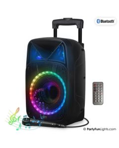 XL Karaoke speaker - m. mic